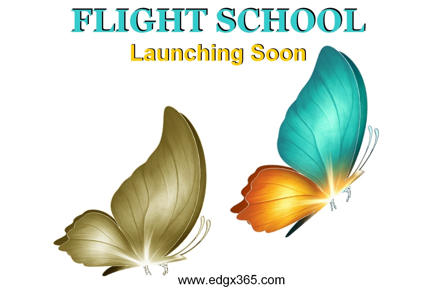 Flight School