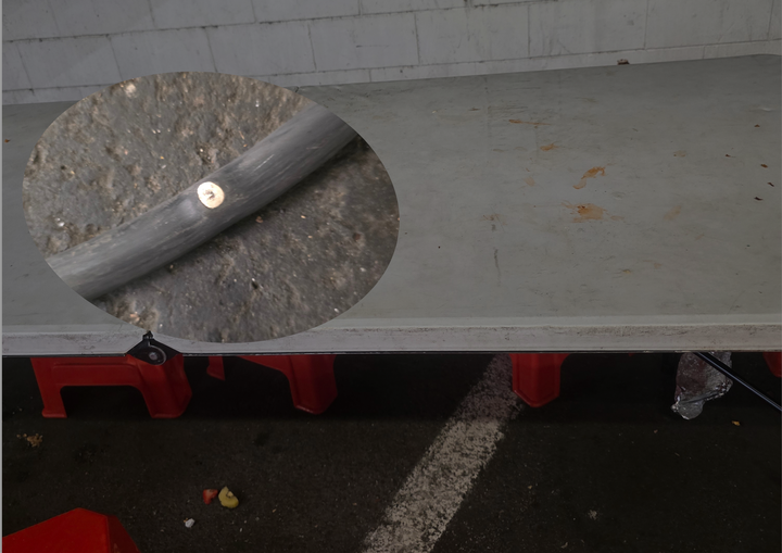 Auckland Night Markets: 'Accident Waiting to Happen'