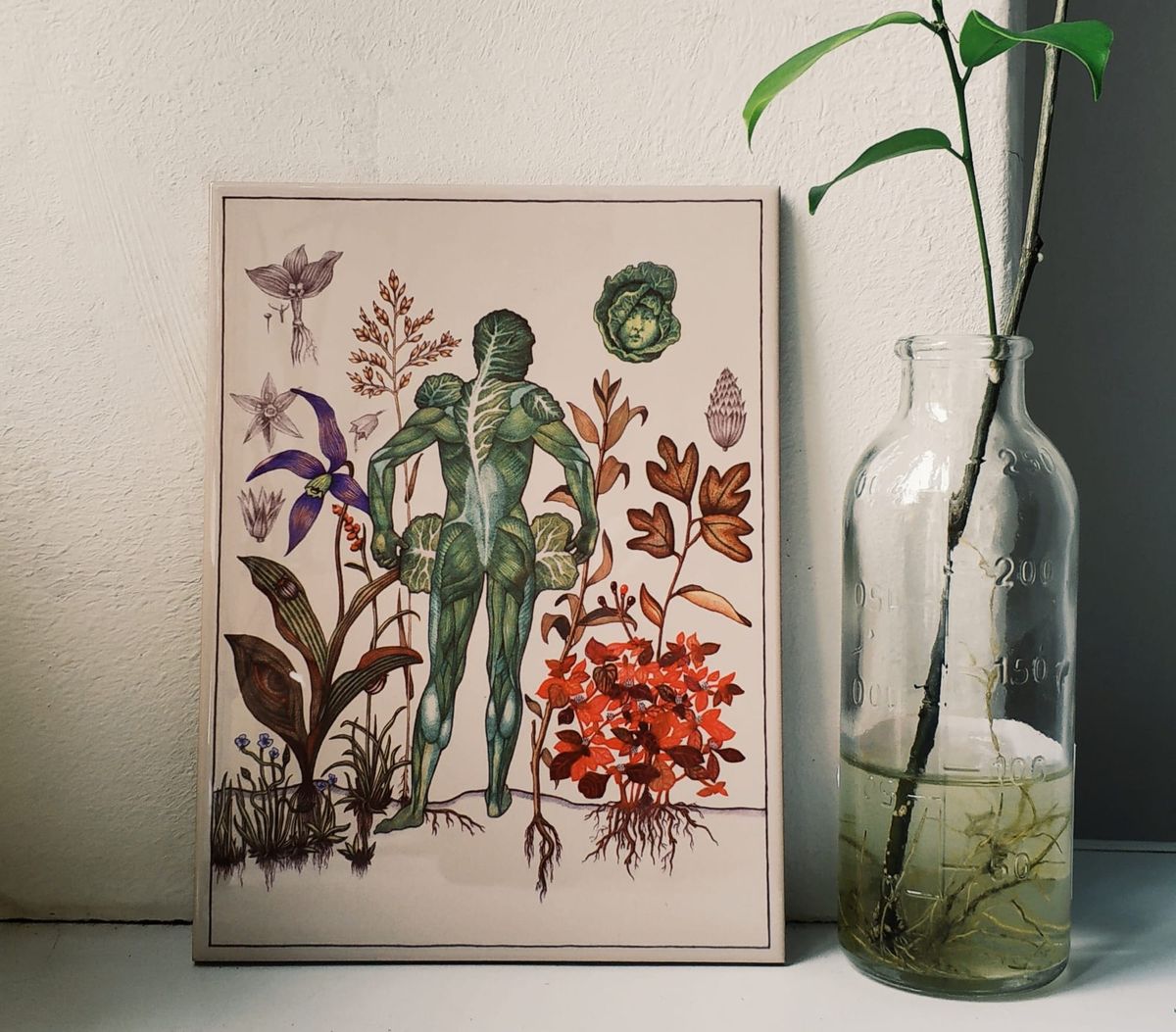 LIY | In their own words