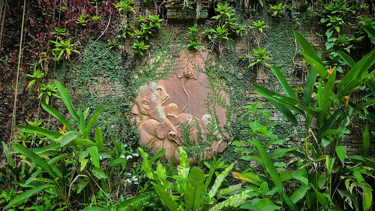 BASELINE | From beliefs to action