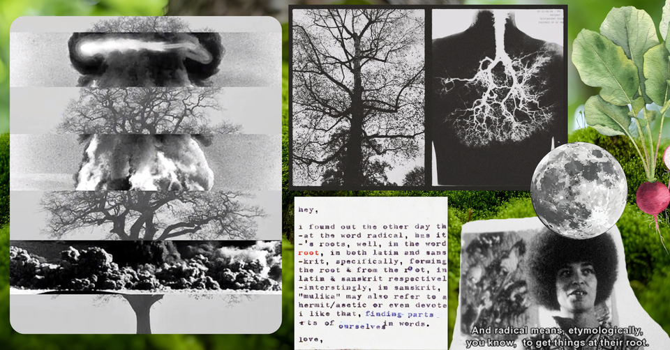To Relate To The Root