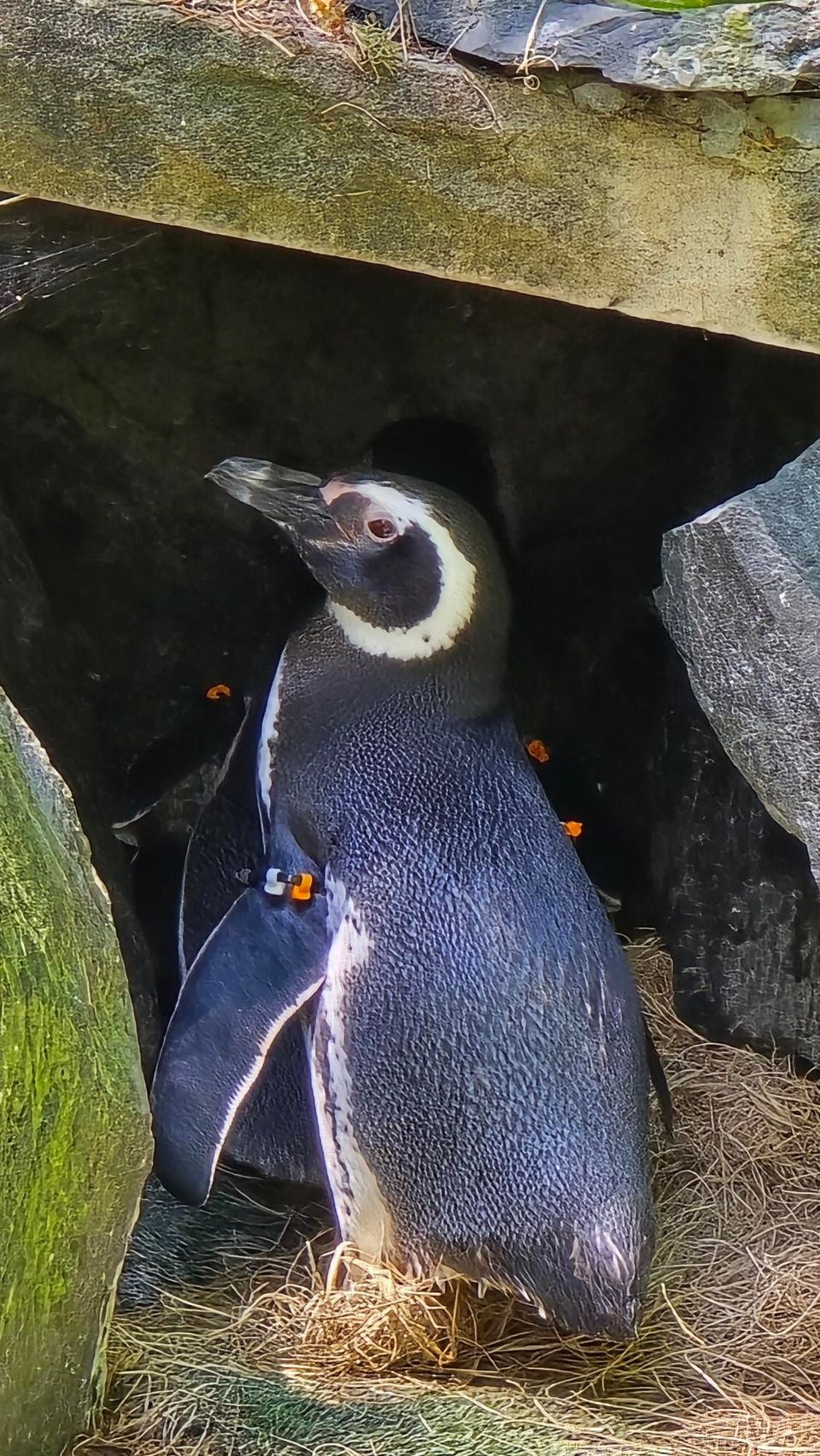 The Loneliness of Living Authentically