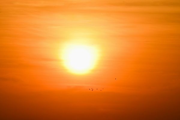 Finding your Own Sun