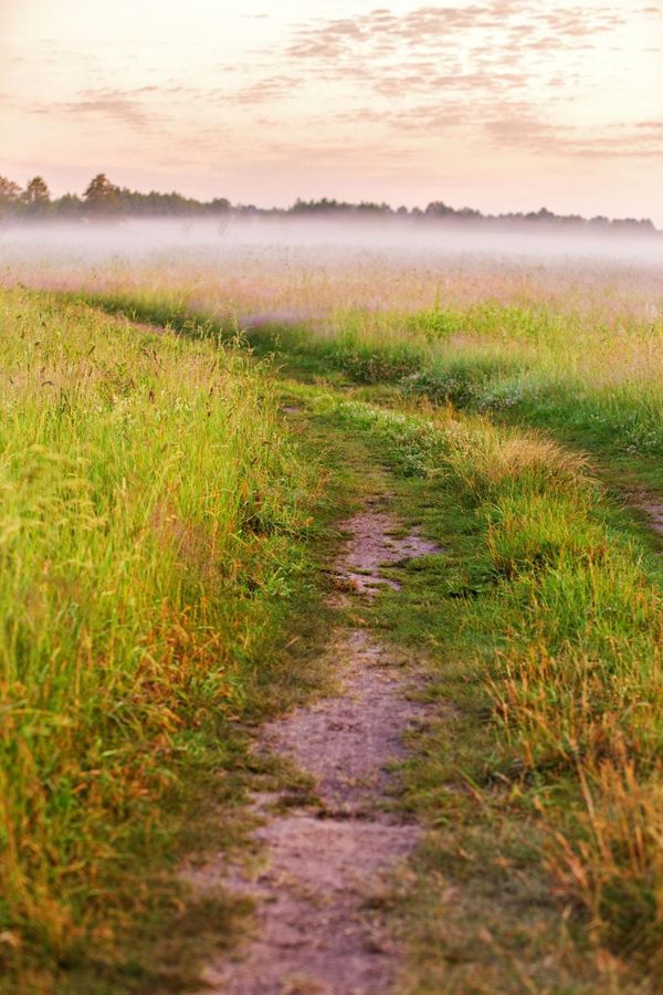 How We Find Our Way