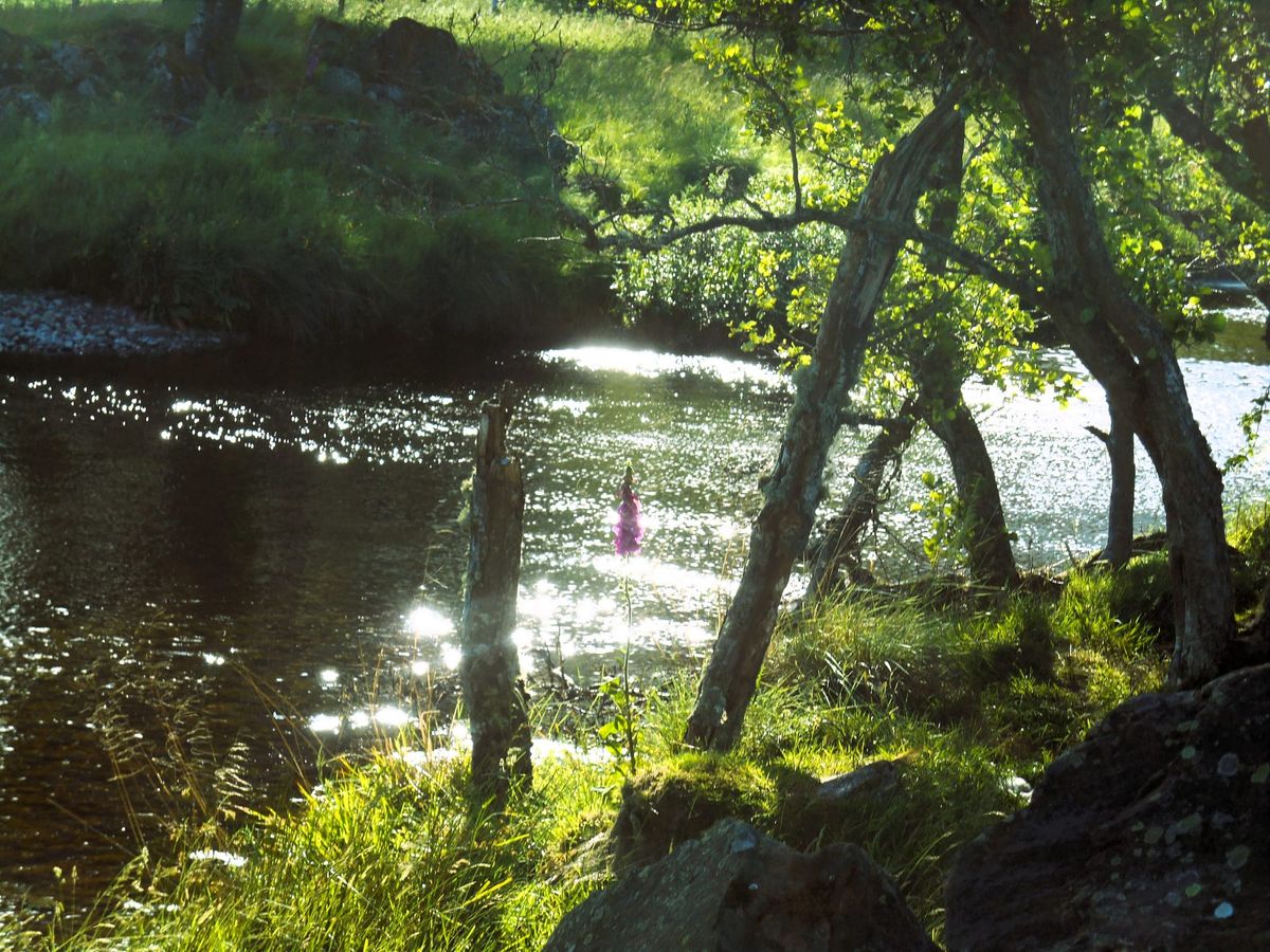 By the River that Softly Flows: Pastoral Air for Accordion