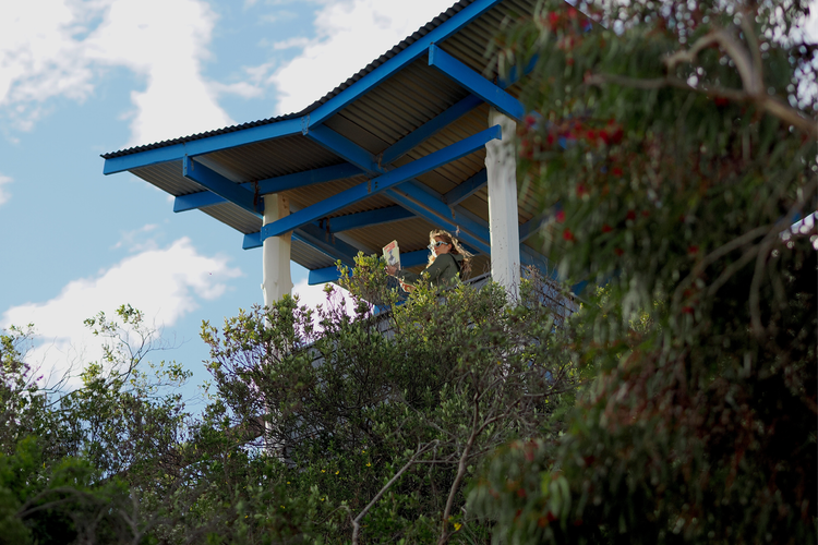 The trajectory of an ethical bullet