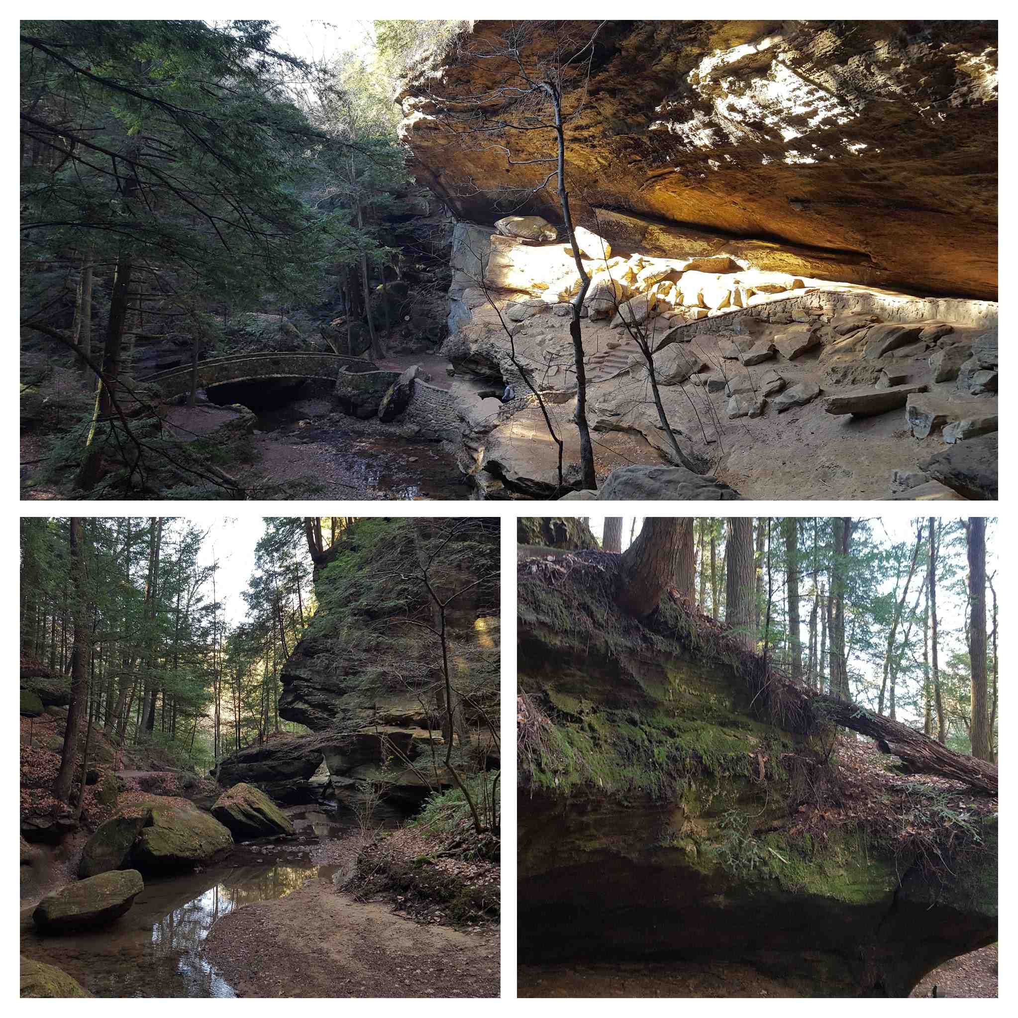 20171203_113715-COLLAGE