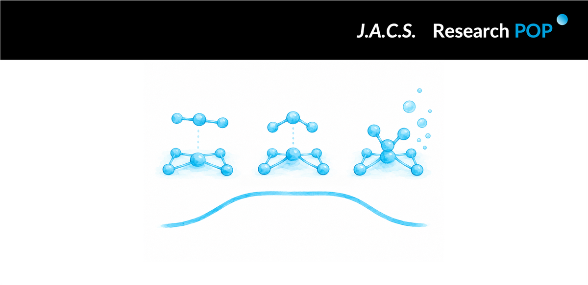 UPR, MIT and Oak Ridge teams connect CO₂ adsorption switching to CO yield on TM–N₄ single-atom catalysts
