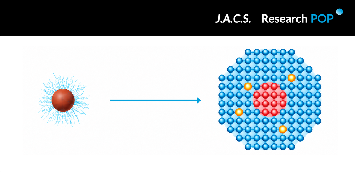 Sungkyunkwan University team controls Zn–Se intermediates to suppress zinc vacancies in quantum-dot shells