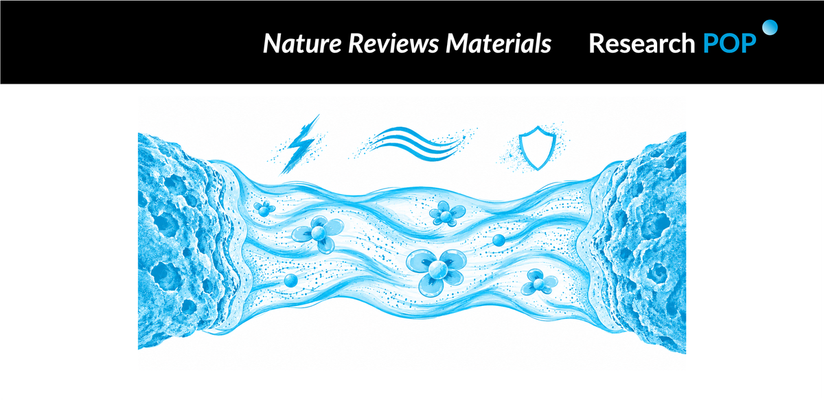 University of Tokyo and University of Maryland teams map electrolyte design for future batteries At a glance