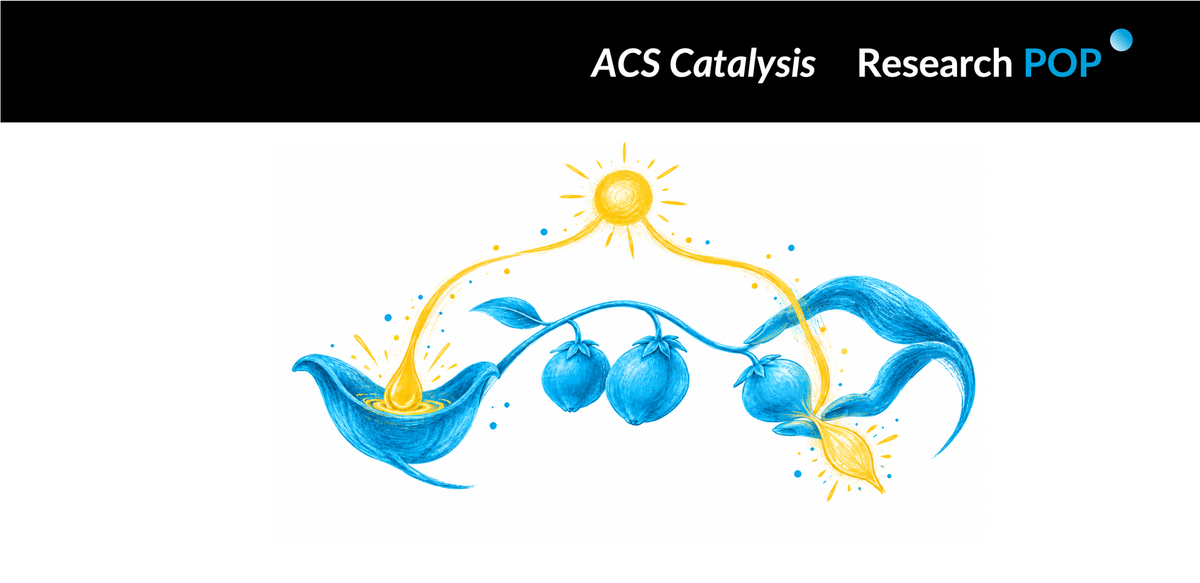 North China Electric Power University team builds paired charge traps for selective glycerol oxidation
