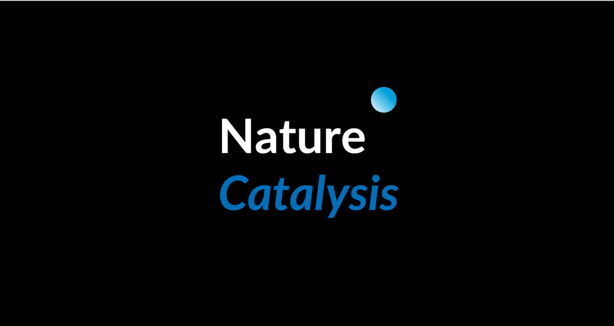Ulm University Team Uses Raman Overtones to Reassign the Nickel-Anode Surface during Alkaline Electrolysis