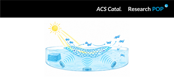 Fujian Agriculture and Forestry University, Nanjing Forestry University and Shihezi University team strengthens H₂O₂ piezo-photosynthesis in pure water