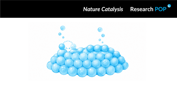 University of Antwerp and Utrecht University teams track single atoms in working platinum nanoparticles