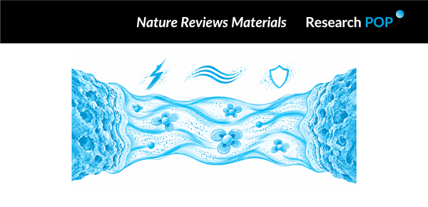University of Tokyo and University of Maryland teams map electrolyte design for future batteries At a glance
