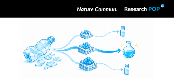 Tianjin University and Hainan University team tunes ruthenium nanoparticle size for selective PET-to-PXDA upcycling
