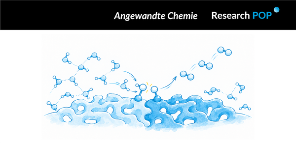 Zhejiang University-led team uses MoOₓ–IrO₂ interfaces to coordinate acidic oxygen evolution