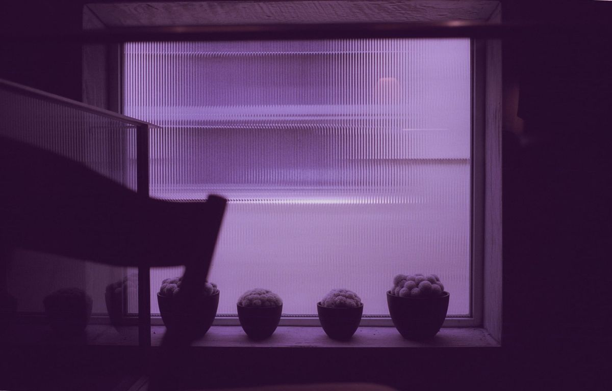 A late summer check-in