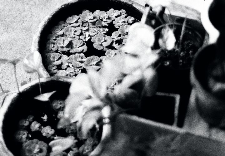 Yoga Nidra: winter stillness' 24