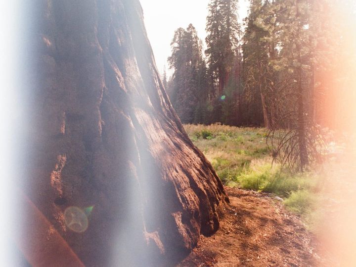 Pause in the Heat: A Two-Part Yoga Nidra for the Shifting Summer