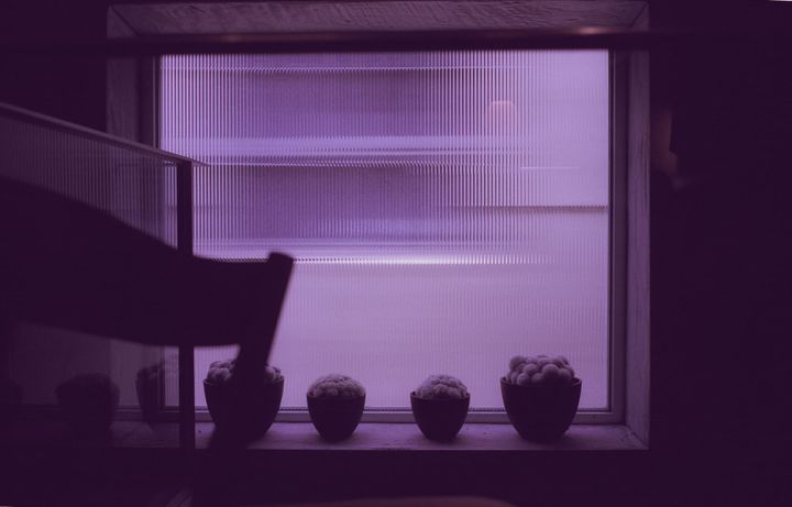 A late summer check-in