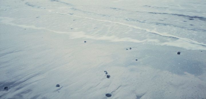 Yoga Nidra: held by the elements