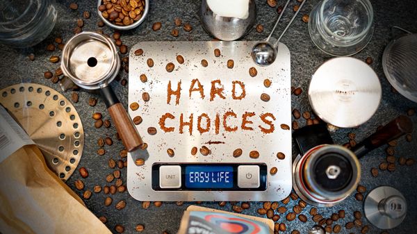 Hard choices, easy life