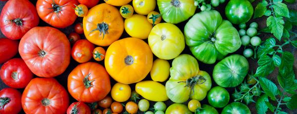 Ten Tips for Forgotten Flavours and Less Stress in Your Home Garden – Part 1