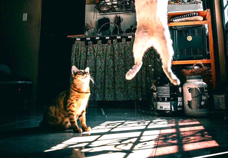 The ghost inside 🌀