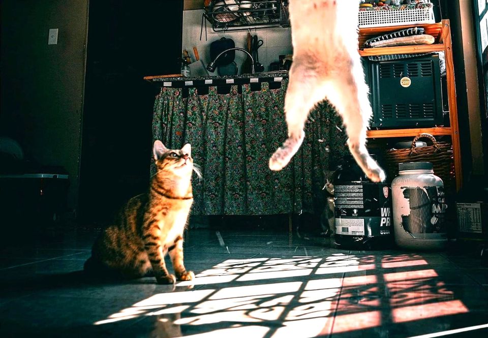 The ghost inside 🌀