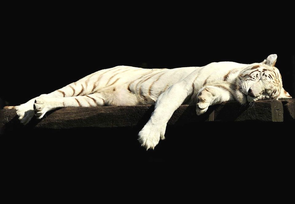 Learning to see 🙈