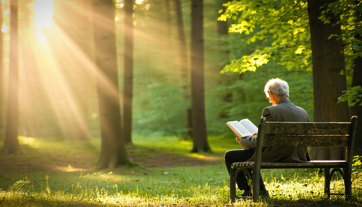 Best Memoirs About Personal Growth: True Stories of Self-Discovery, Transformation, and Becoming Who You Were Meant to Be