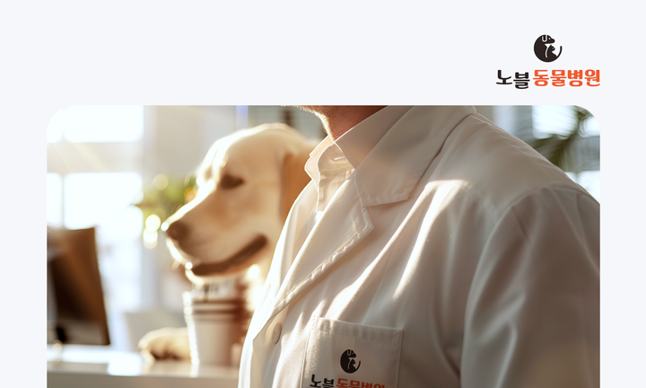 가운을 입은 동물병원 수의사와 리트리버