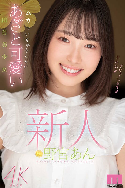 【野宮あん】沸腾般的亲近感！暗黑版新垣结衣降临