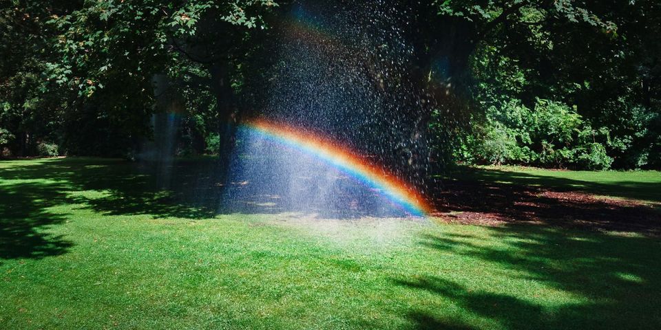 Friends and Rainbow Colours