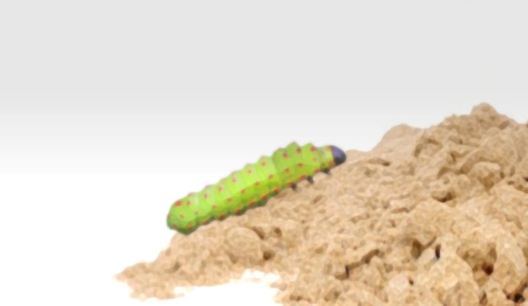 The sad stillness of a caterpillar by Brett J Cole