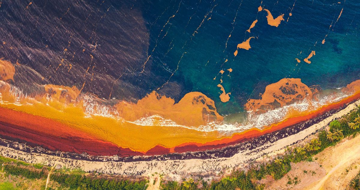 The Weekly Tide –  Newest works from GC's Poets' Palace