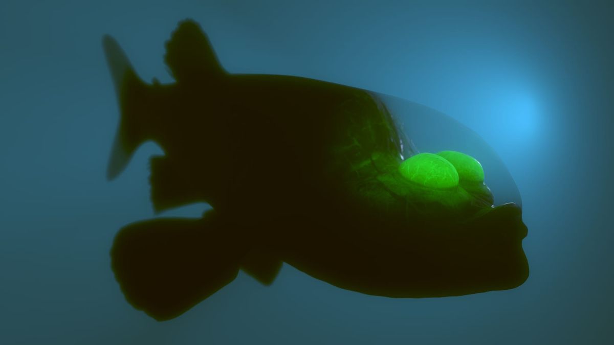 The Bacterium and the Blue Whale - Episode Two