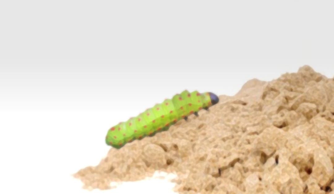 The sad stillness of a caterpillar by Brett J Cole