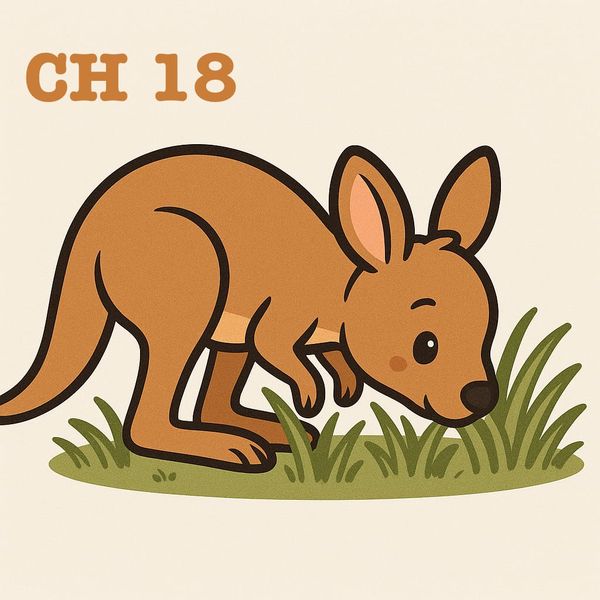 FLETCHER THE KANGAROO: LIFE AND DEATH - CHAPTER EIGHTEEN