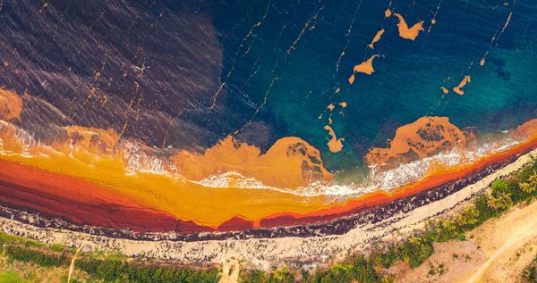 The Weekly Tide –  Newest works from GC's Poets' Palace