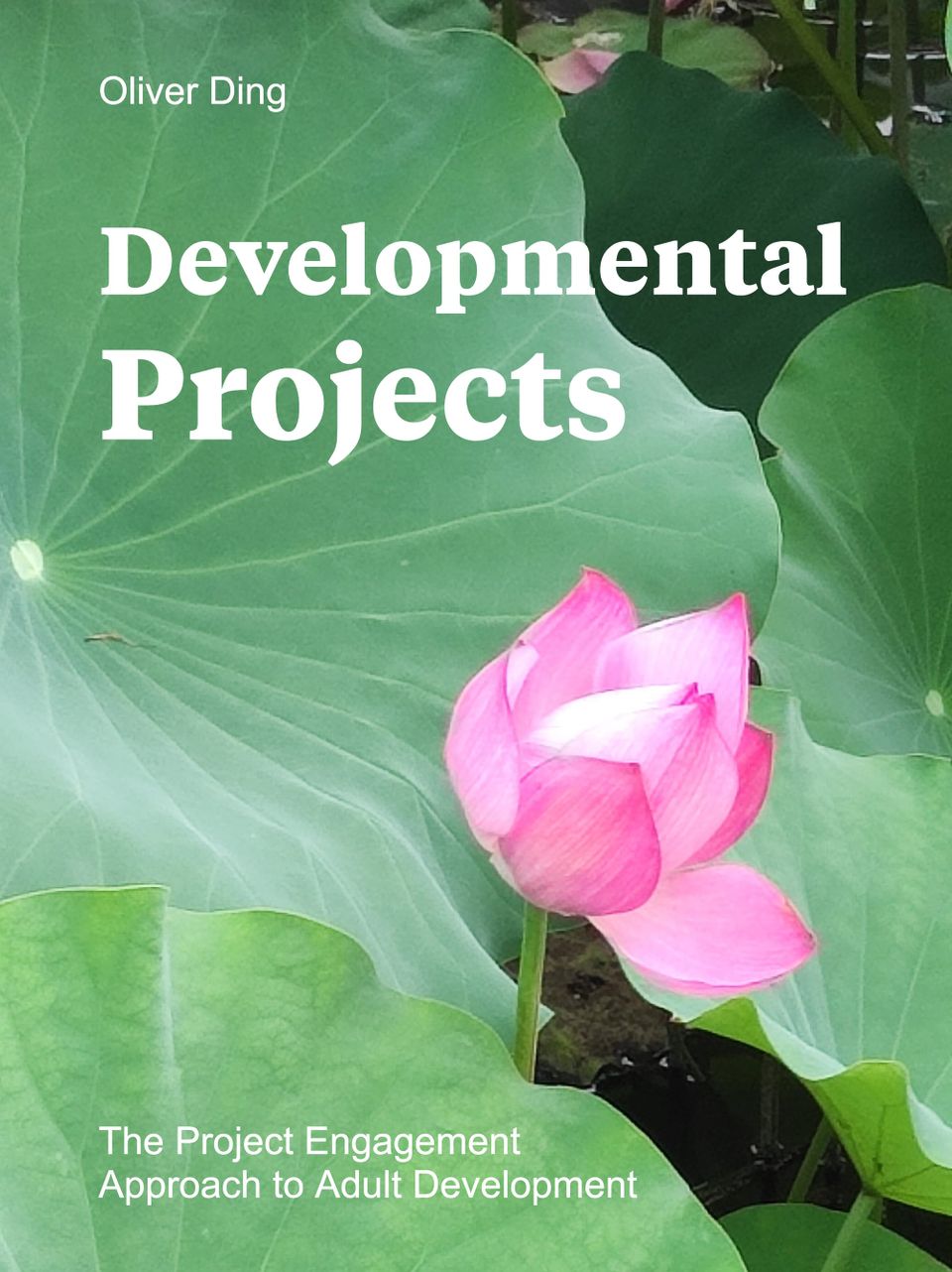 Toward a Project-Oriented Ecology of Adult Development