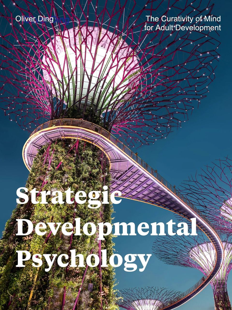SDP: Two Diagrams about the Self-Life-Mind Schema