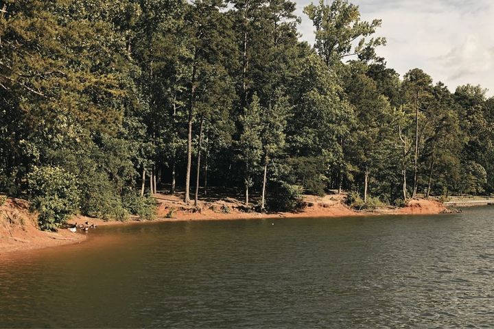 A calm reservoir with a wooded shoreline and an exposed dirt bank where the water has drawn down below its high line, a few waterfowl at the water's edge.