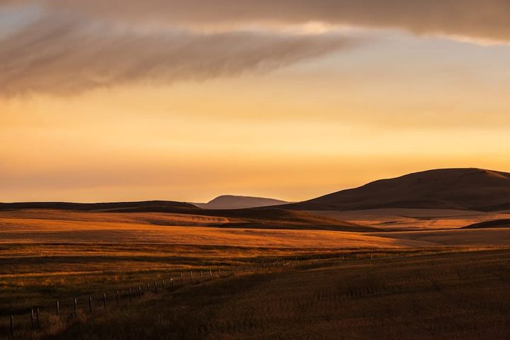 Rolling northern Colorado prairie with low hills and a wire fence line under a golden sunset sky, no buildings in view.