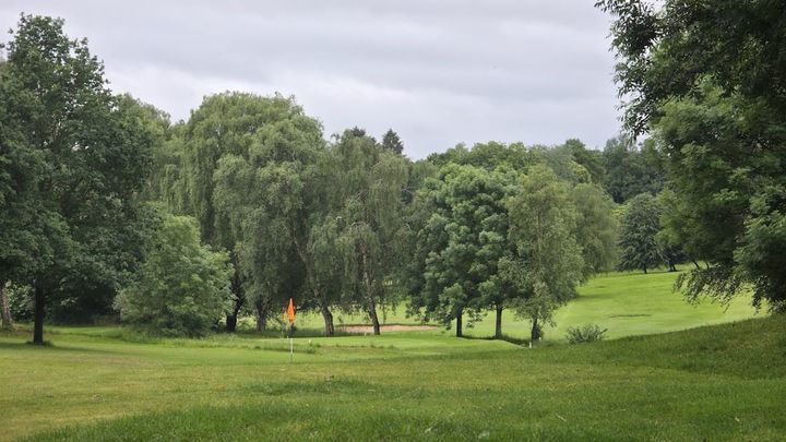 A golf course green with an orange flagstick and a sand bunker, framed by mature trees under an overcast sky.