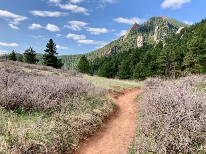 A foothills trail above the Boulder valley on Colorado's northern Front Range