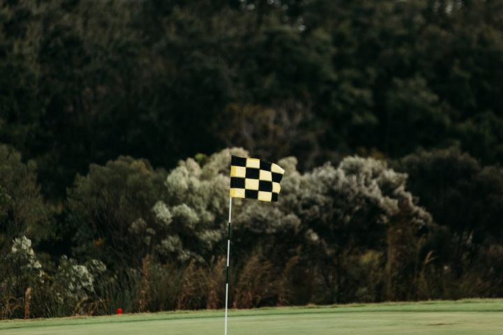 A black-and-yellow checkered golf pin flag standing on a putting green, with trees and tall grasses softly blurred behind it.