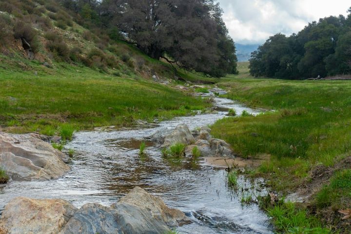 A shallow creek running over rocks between green grassy banks, with trees behind it under an overcast sky