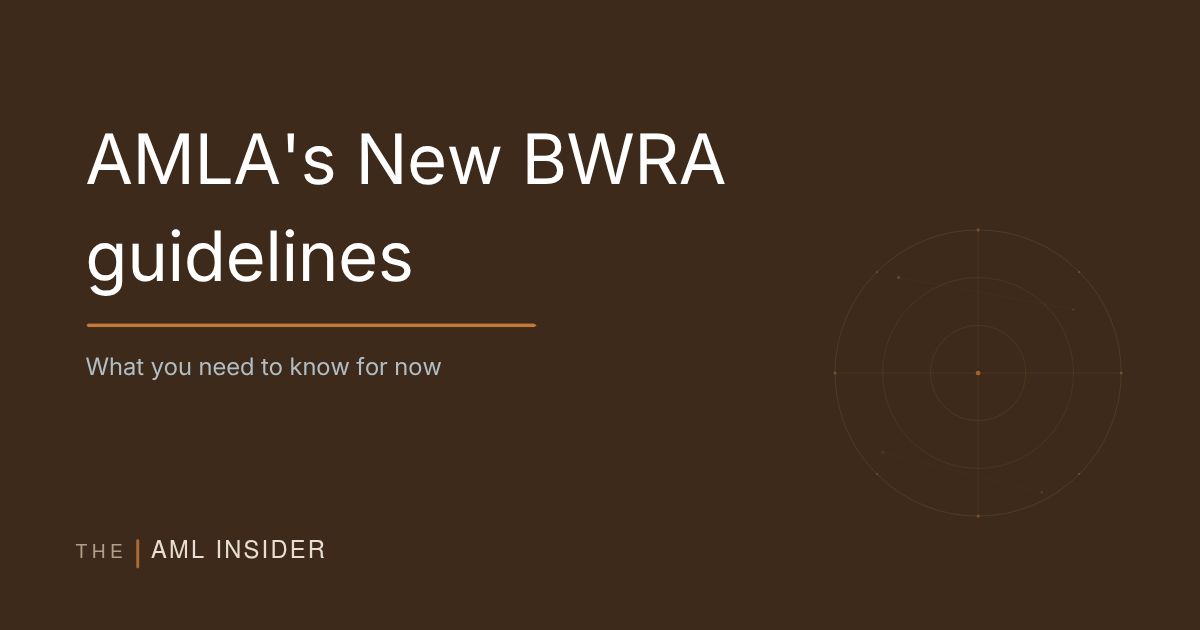AMLA's BWRA Guidelines: What Practitioners Need to Know